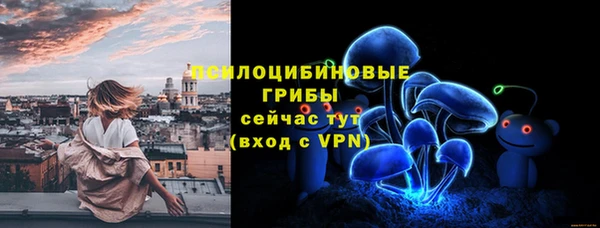 прущие крисы Алексин