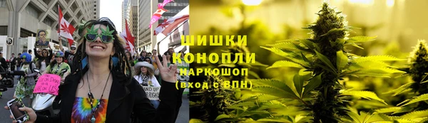 ГАЛЛЮЦИНОГЕННЫЕ ГРИБЫ Алексеевка